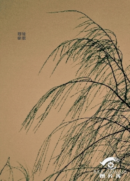 硤ҡҷ