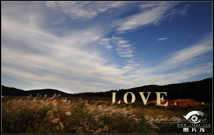LOVE