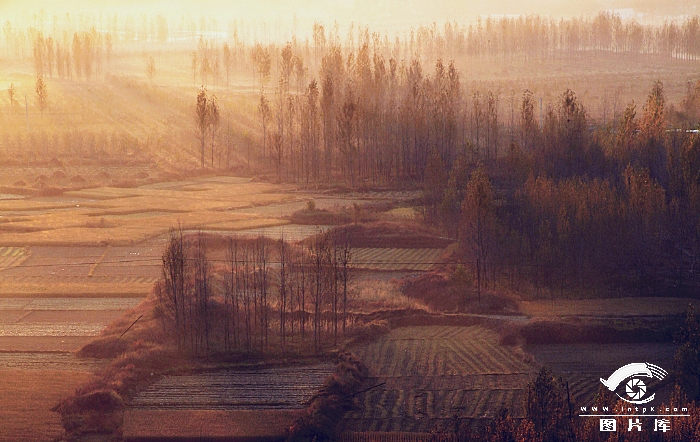 ֮
