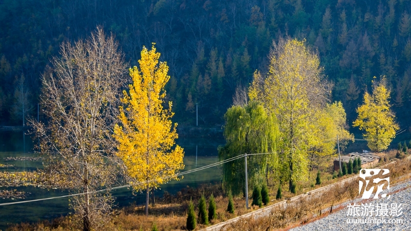 ļ