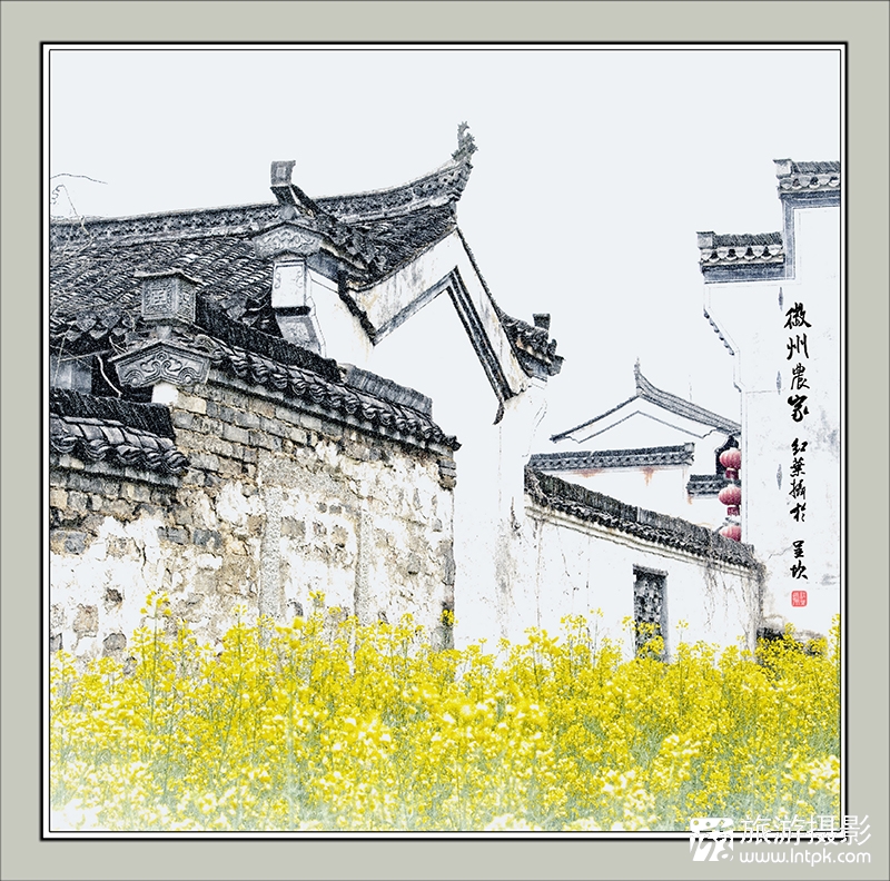 ũ