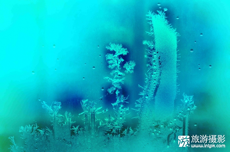 顷