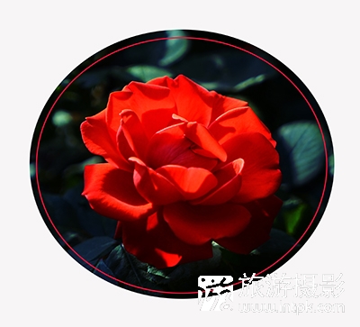 Ļŭ