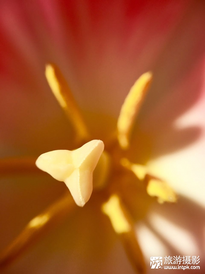 ΢Ļ