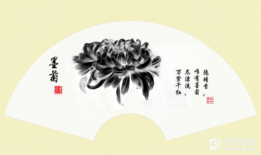 ī棨ѧӰ
