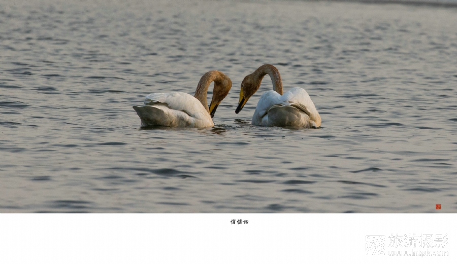 Ļ