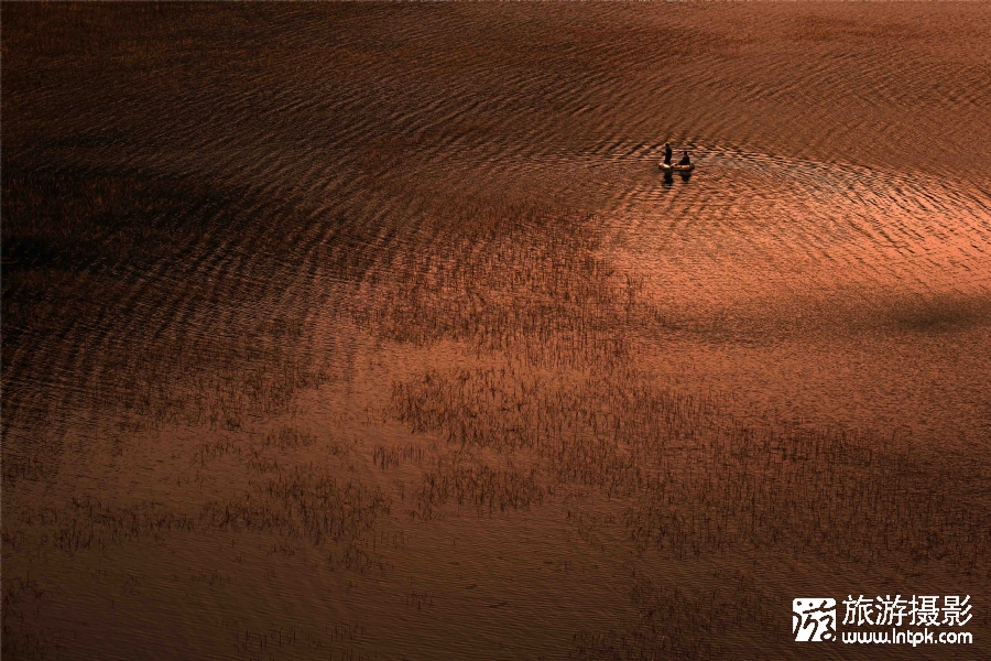 ΢