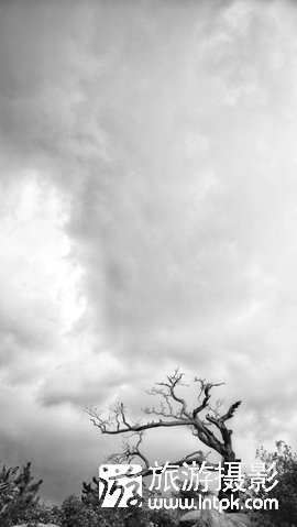 ɽ