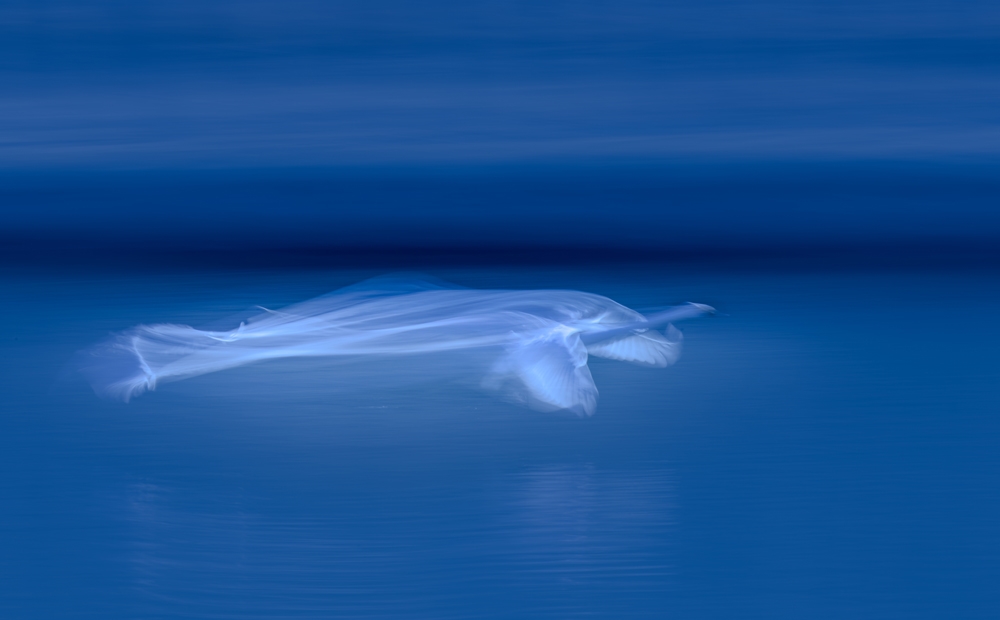 λʹ4