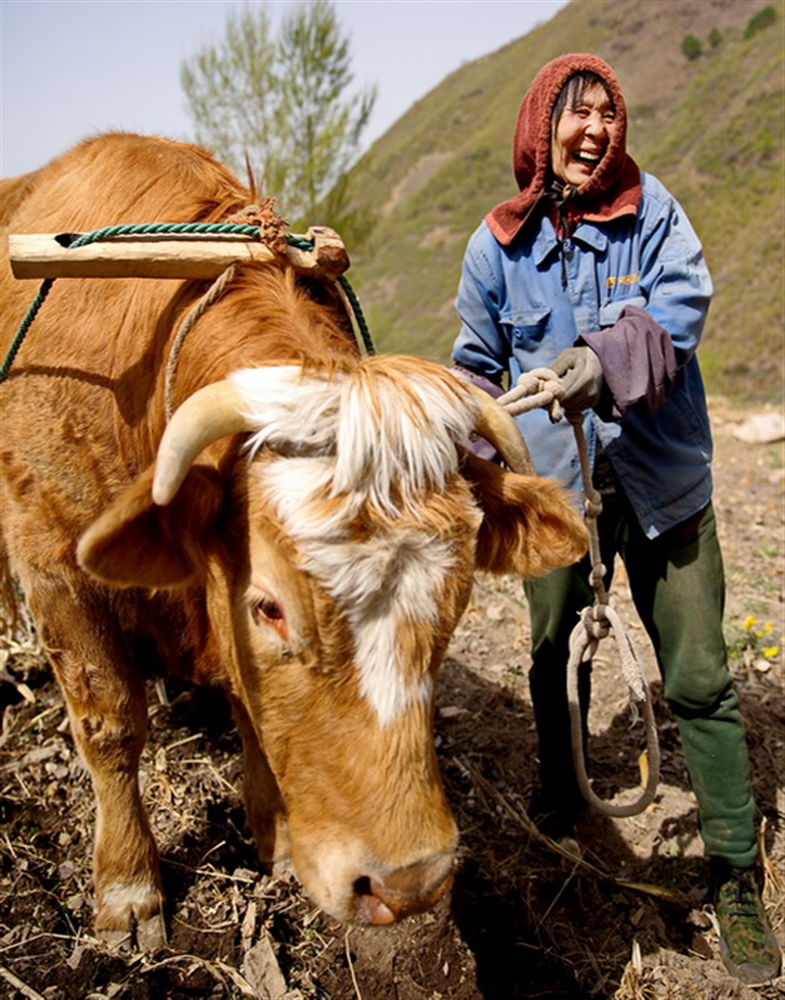 Ȱ