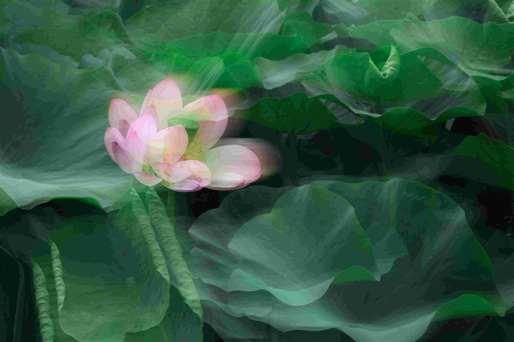 ֮