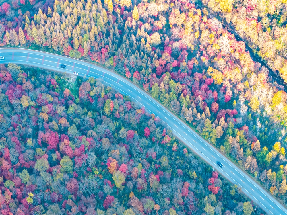 Ҷ