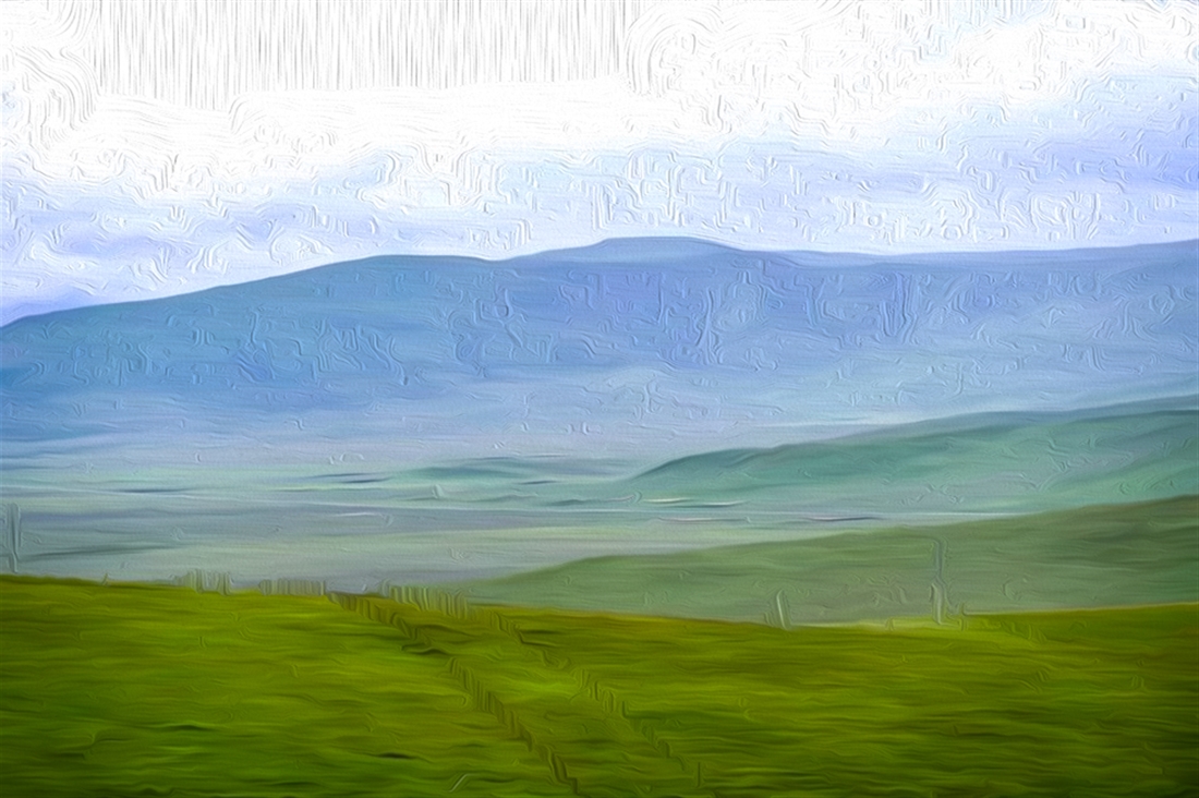 ɽҰ