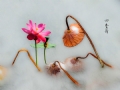 ļ
