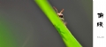 ͵