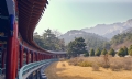«羰