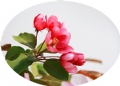 Ļ