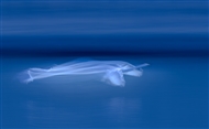 λʹ4