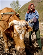 Ȱ