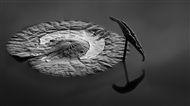 Ҷ