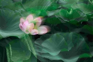 ֮