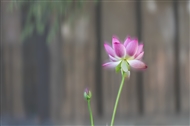 ҡҷ