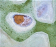 б