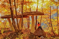 ֮