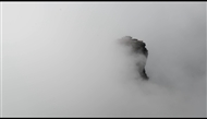 ɽ