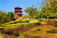 Ȧ