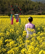 ֮