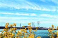 ʻ