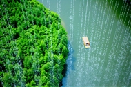 ˮĻ