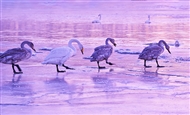 һһ