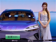 ʳչ