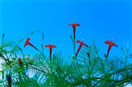 ǻ׸9.3ı