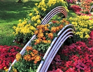 ջƮ2